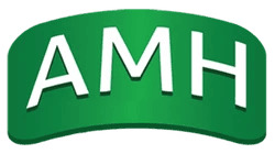 إيه إم إتش AMH