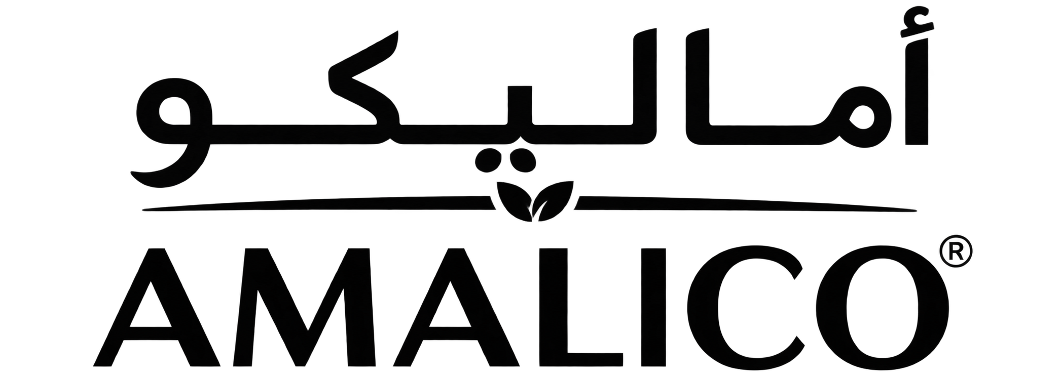 أماليكو | Amalico