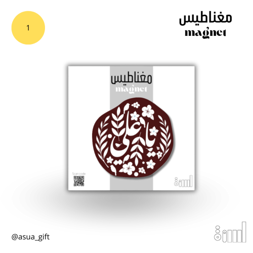 مغناطيس الي مولد الامام علي (ع)