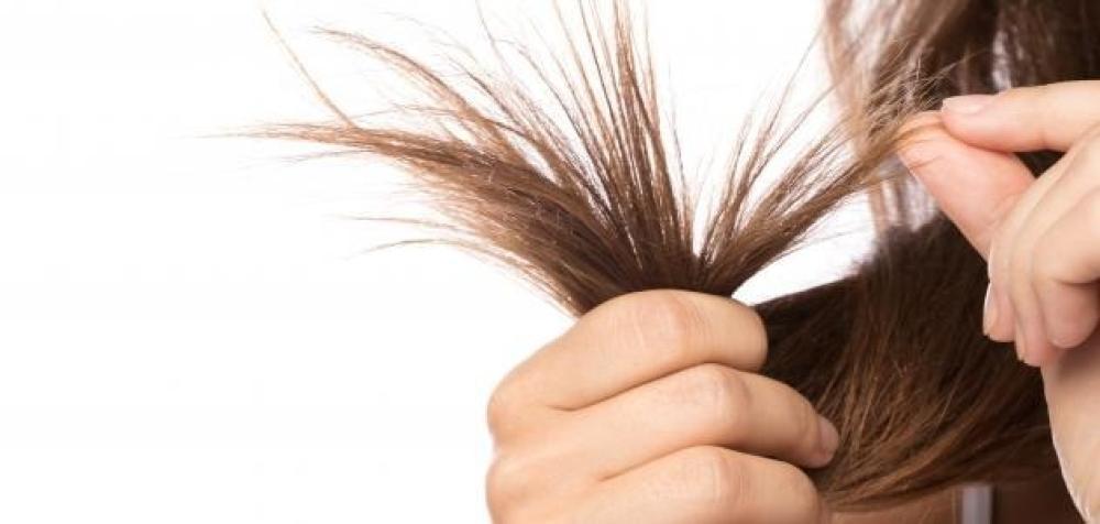 أهم اسباب التقصف الشعر وحلول ذكية لاستعادة طولكِ وكثافتكِ بدون مقص