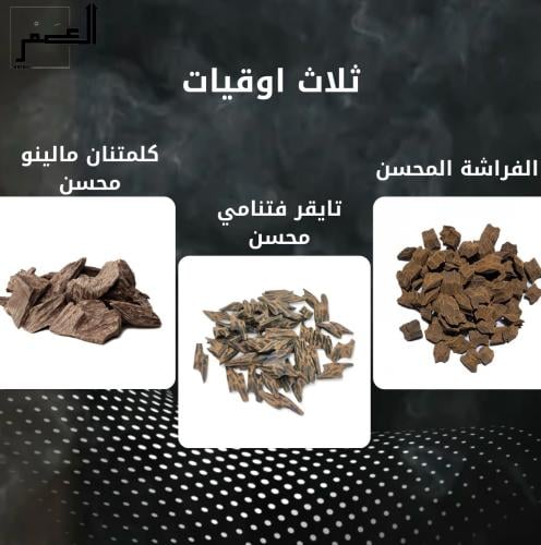 عود الفراشة المحسن + تايقر فتنامي محسن + كلمنتان م...