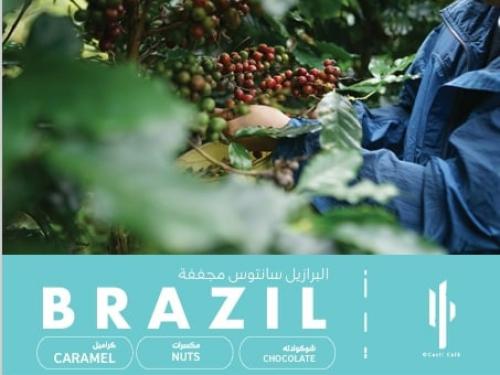 Brazil Santos-Natural-250g | البرازيل سانتوس- مجفف...