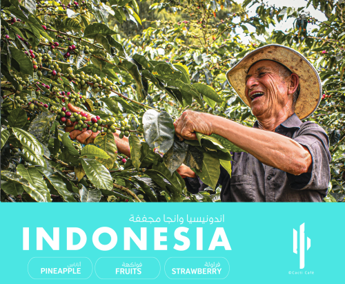 Indonesia Wanoja-Extended Natural-250g | إندونيسيا...