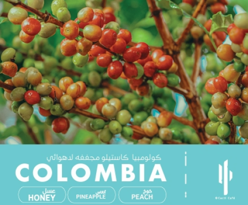 Colombia Castillo-Natural Anaerobic -250g | كولومب...