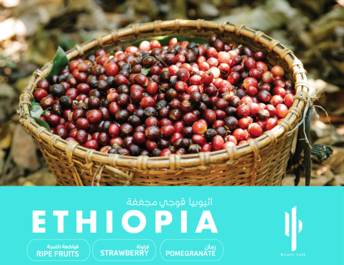 Ethiopia Guji - Natural-250g| إثيوبيا قوجي - مُجفف...