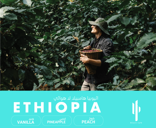 Ethiopia Hambella -Anaerobic-250g | إثيوبيا هامبيل...