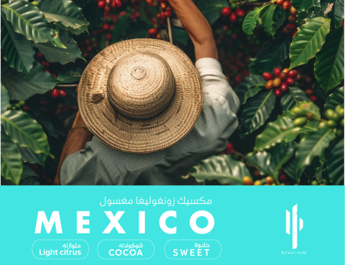 Mexico - Zongo Liga - 250g | المكسيك زونغوليغا - م...