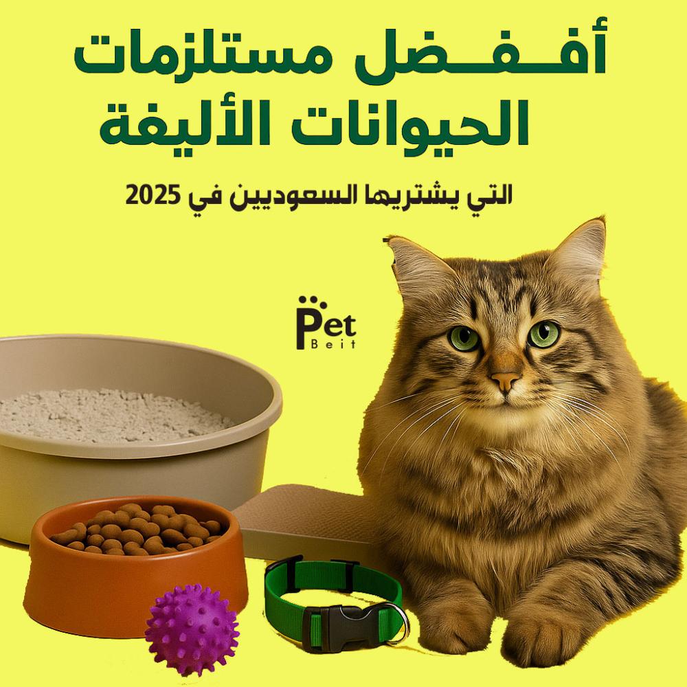 مستلزمات قطط وكلاب مستخدمة في السعودية – رمل، ألعاب، طوق، صحون طعام.