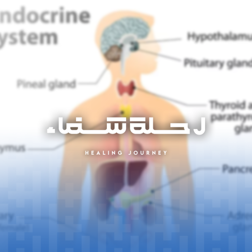 الغدد في جسم الإنسان