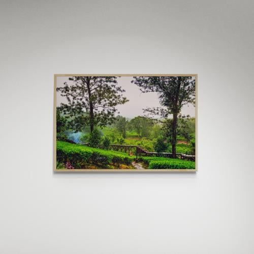 لوحة فنية غابة - صورة (113)