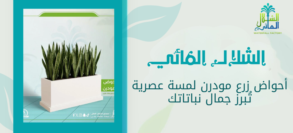 أحواض زرع مودرن بتصميمات عصرية أنيقة تناسب المنازل والحدائق