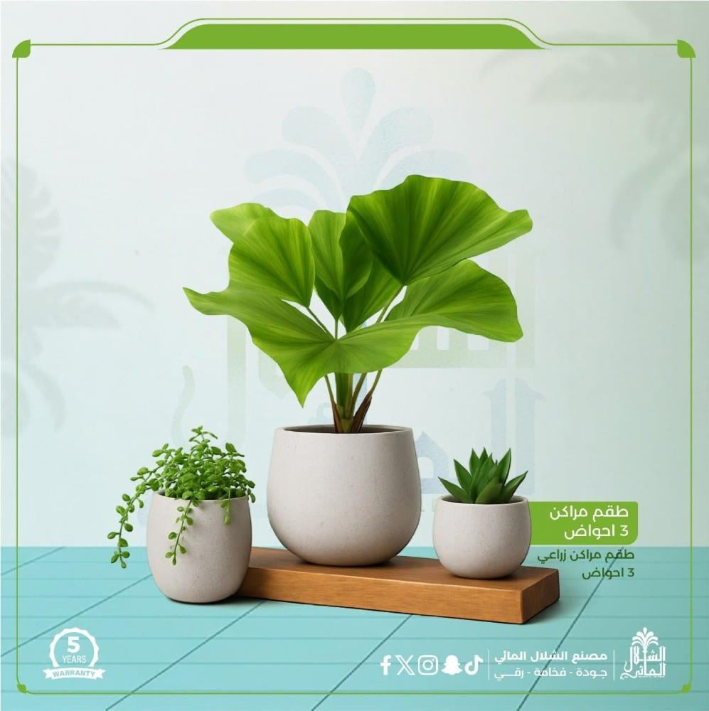 دليلك لاختيار مراكن الزرع الخارجية المناسبة لديكور منزلك وحديقتك