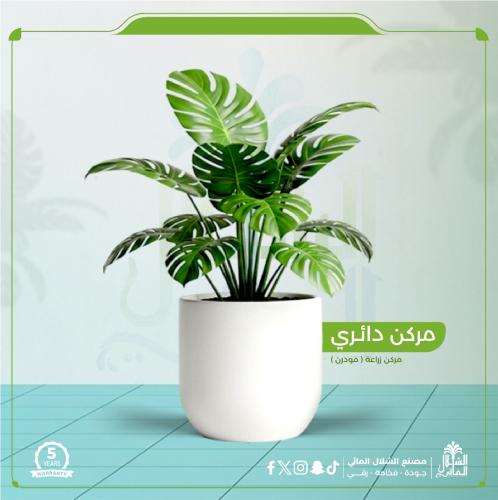مركن دائري