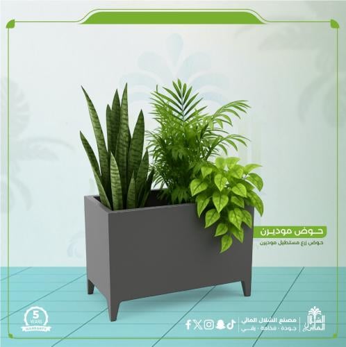 حوض مودرن