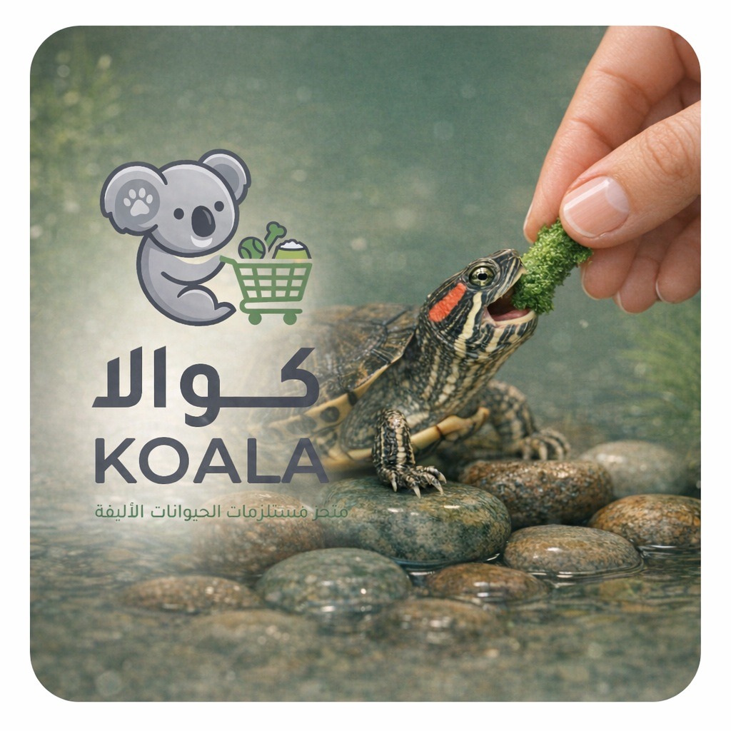 طعام السلاحف