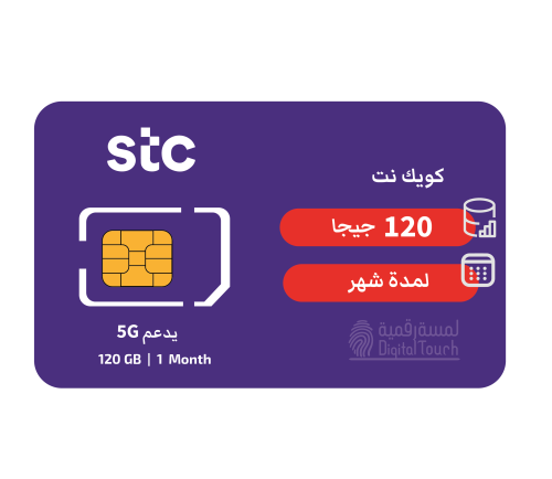 شريحة بيانات STC شهر 120 قيقا