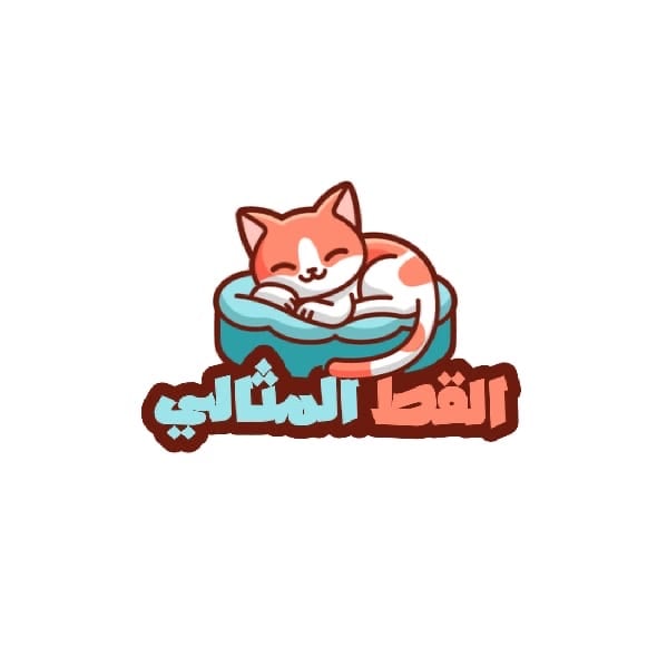 store avatar