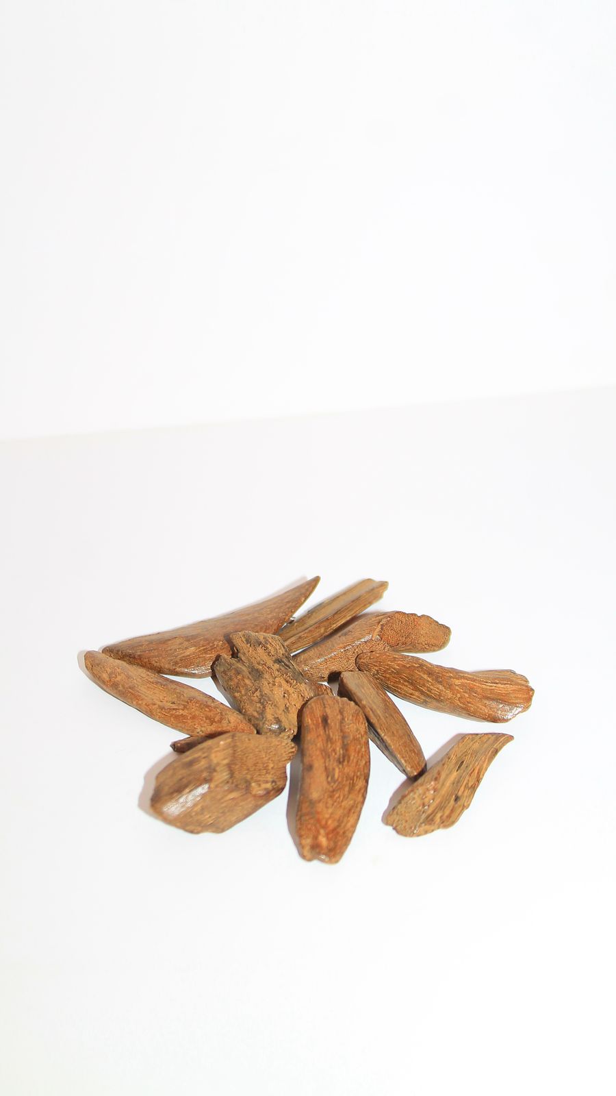 العود