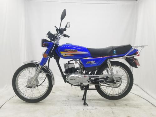 SWEYD AX100