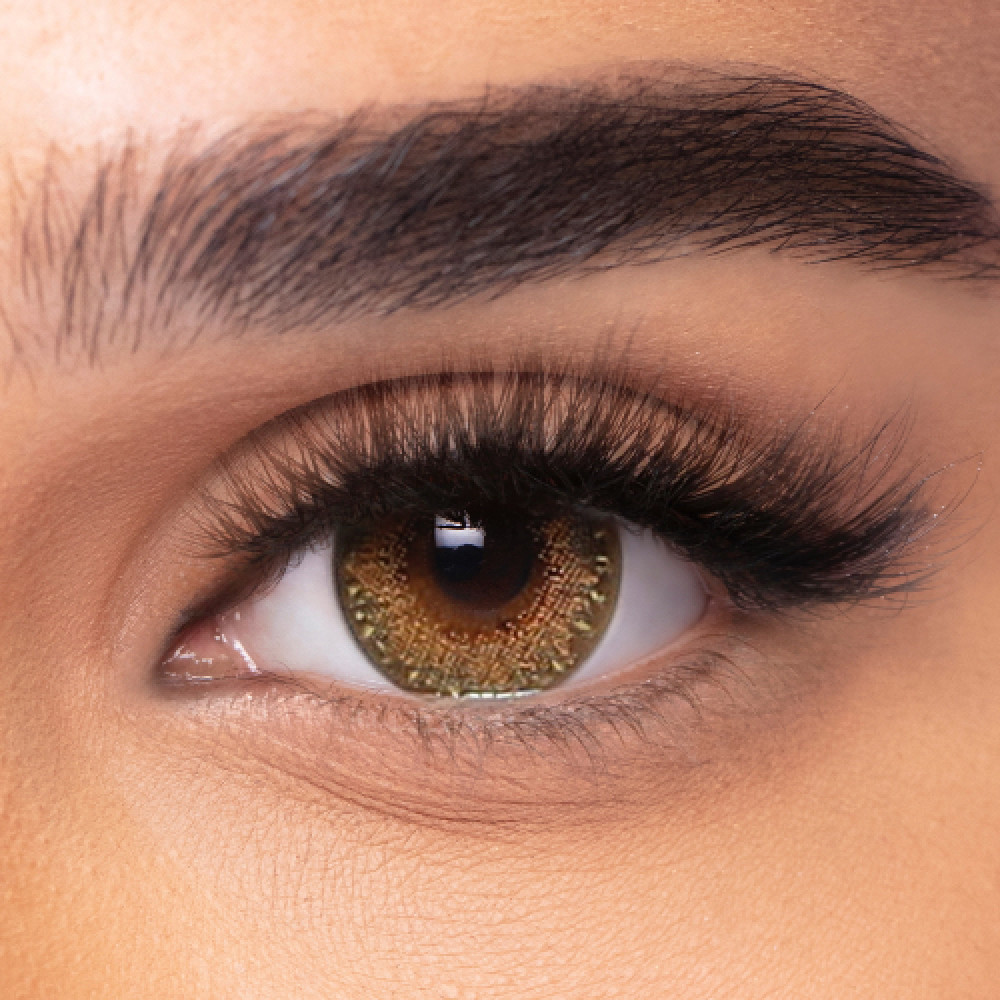 freshlook honey contacts on brown eyes