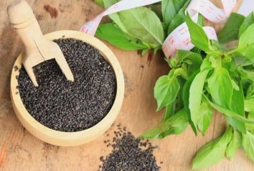 بذور الرجلة 100جرام 1179