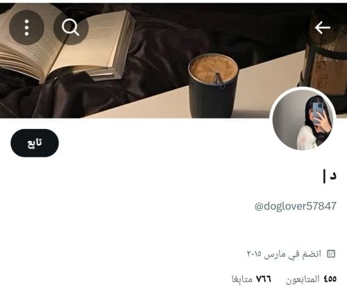 حساب تويتر للبيع