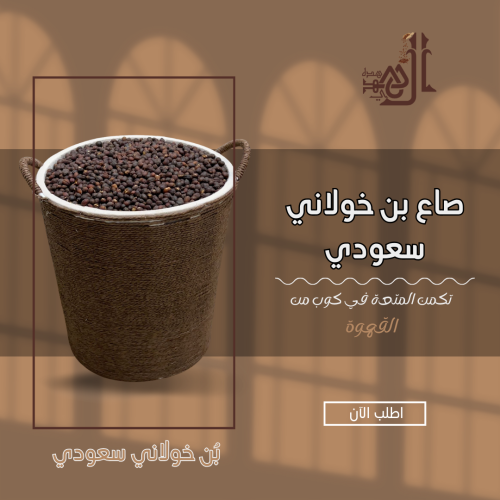 صاع بن خولاني سعودي