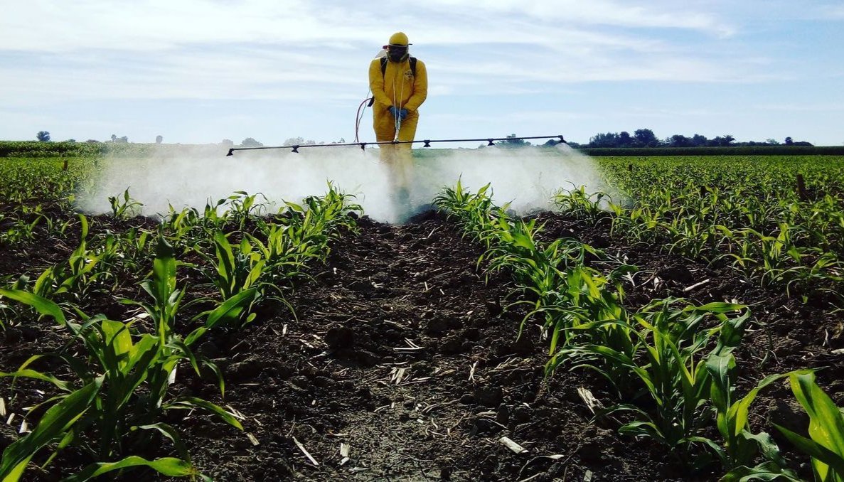 مبيدات الزراعية