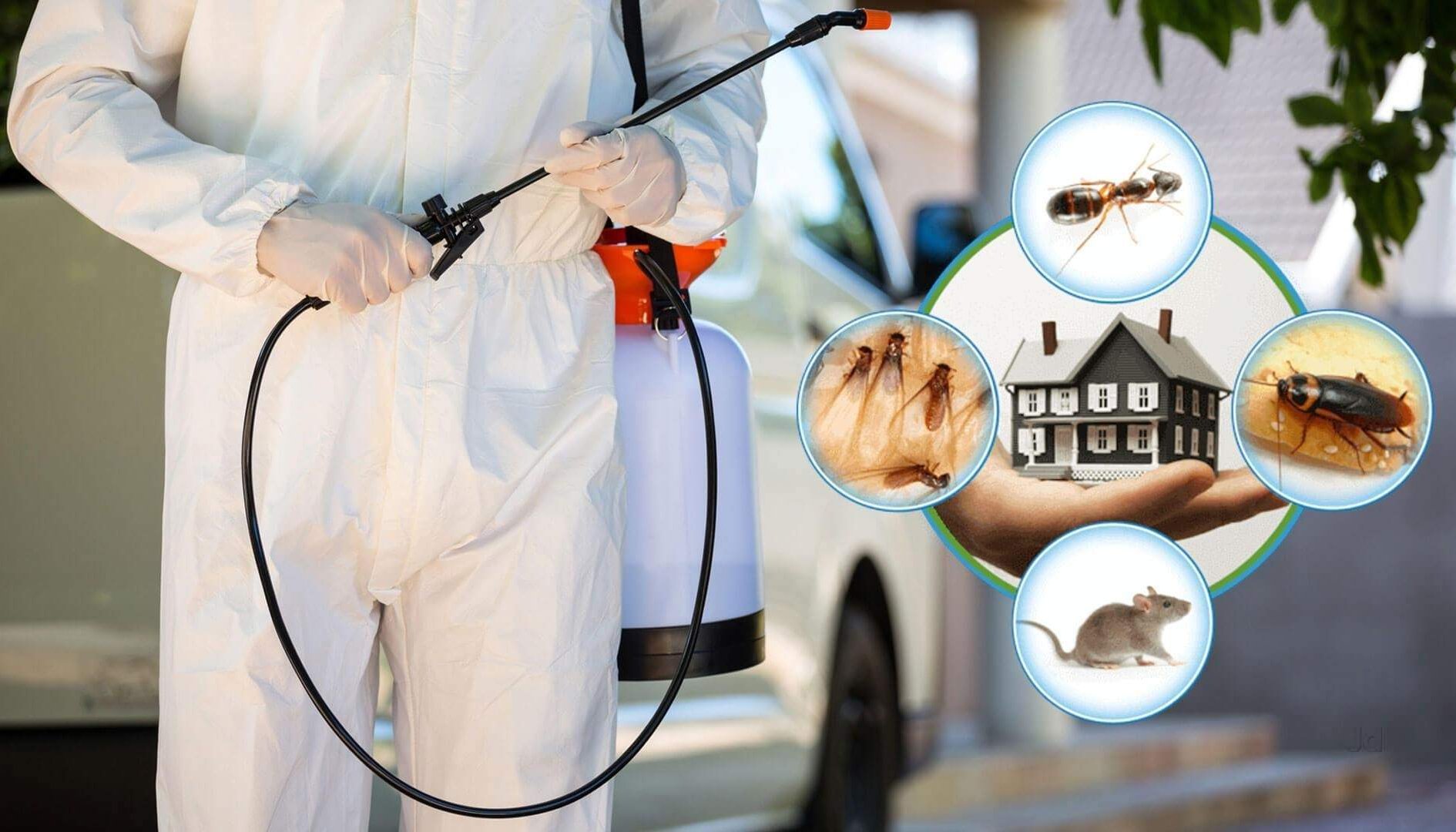 مبيدات الصحة العامة