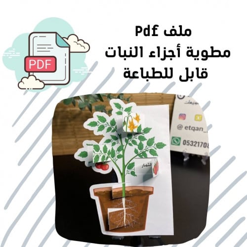 مطوية أجزاء النبات ملف Pdf قابل للطباعه