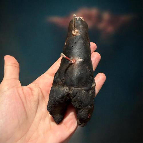 كراعين شمعه.