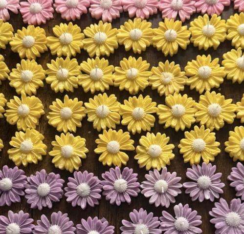 زهرة الاقحوان