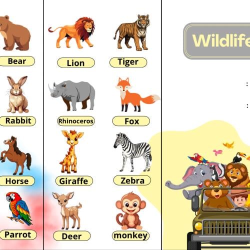مطوية wildlife