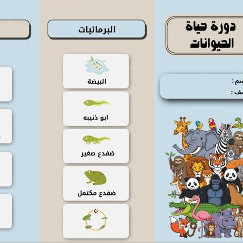 دورة حياة الحيوانات