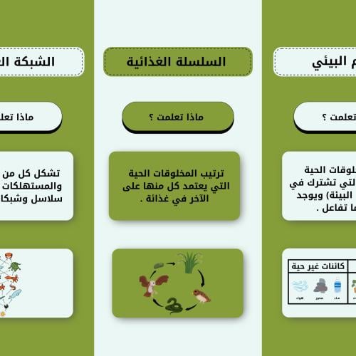 مطوية السلاسل والشبكات الغذائية