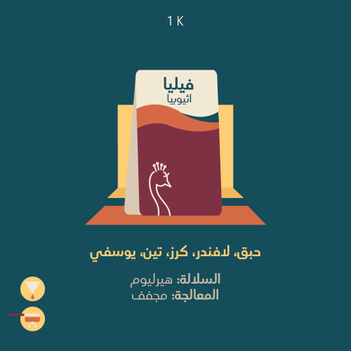 فيليا - اثيوبيا