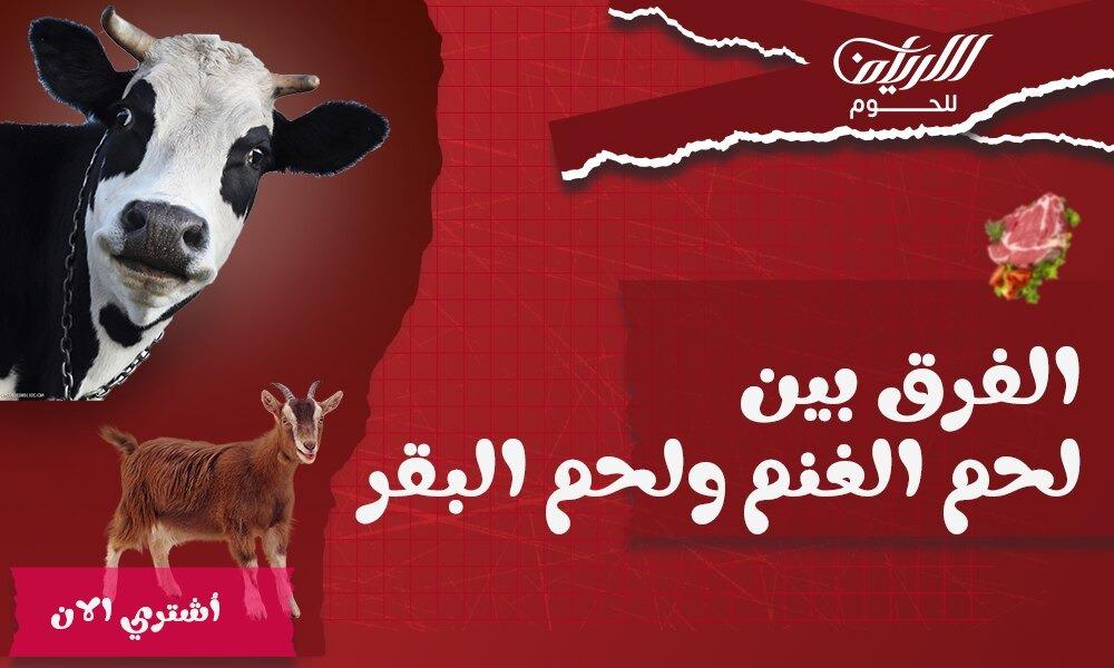 الفرق بين لحم الغنم ولحم البقر