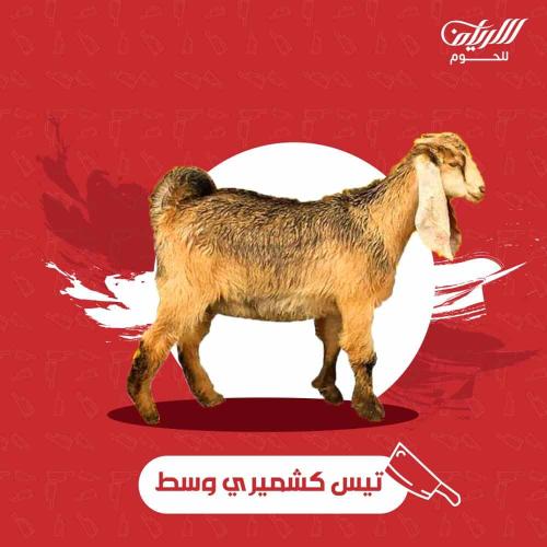 تيس كشميري وسط