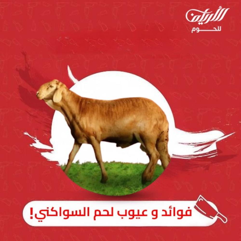 فوائد و عيوب اللحم السواكني