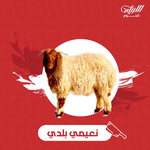 نعيمي بلدي