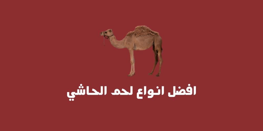افضل انواع لحم الحاشي