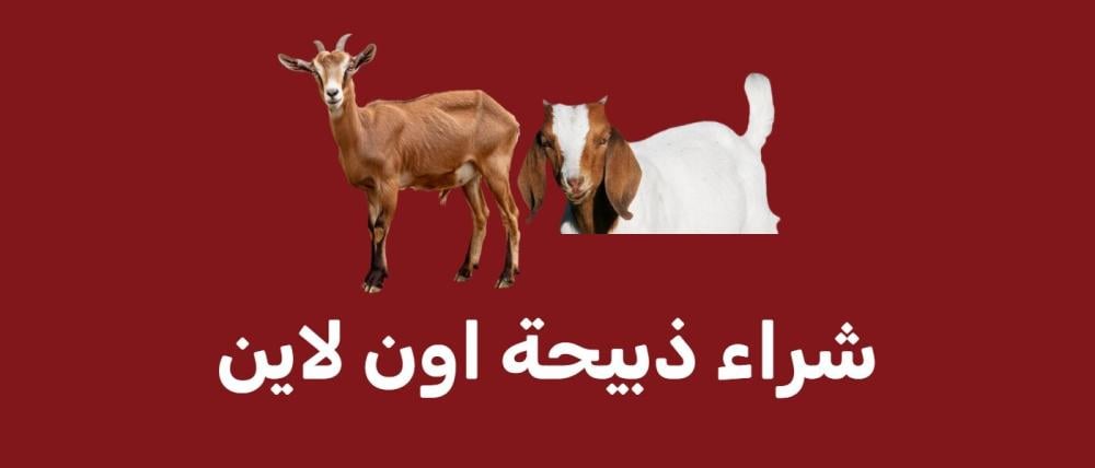 شراء ذبيحة اون لاين