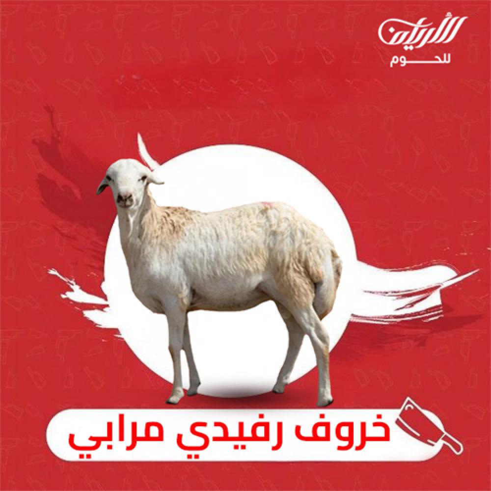خروف رفيدي