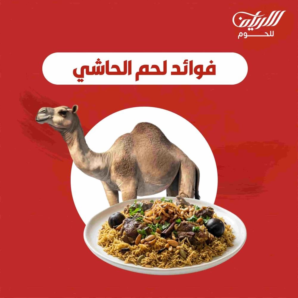 شراء لحم حاشي في السعودية: أفضل الأنواع والأسعار في الرياض وجدة والدمام