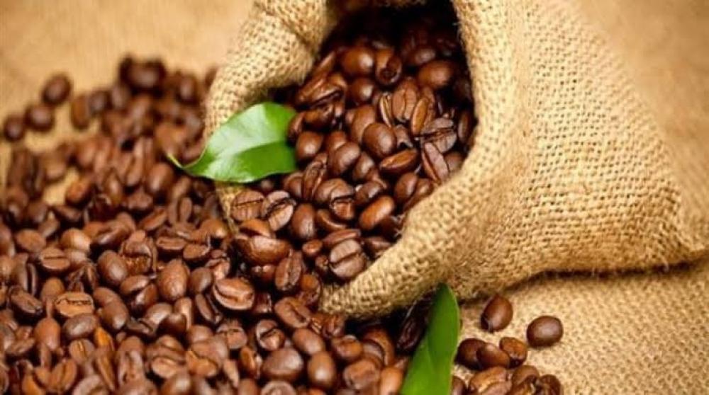 أفضل أنواع القهوة الإثيوبية - محمصة هيزم لبيع محاصيل القهوة
