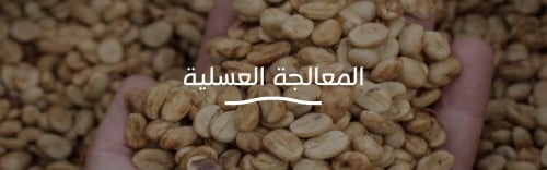 اكتشف طرق المعالجة العسلية للقهوة