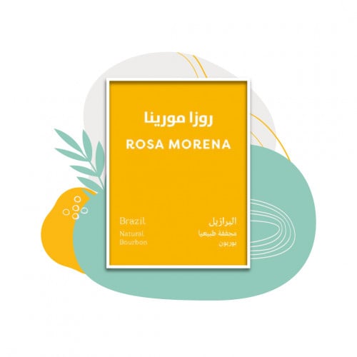 سبيشيلتي بين - البرازيل روزا