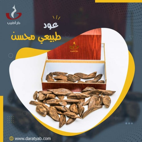 عود طبيعي محسن