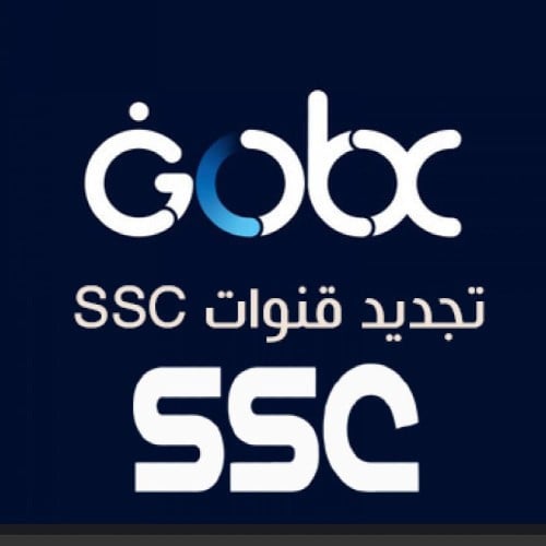 تجديد اشتراك go box سنة