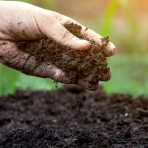 سماد فيرمي كمبوست سماد الدود 5كيلو